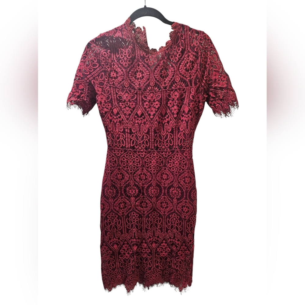 Lulus Remarkable burgundy sheer lace short sleeve mini dress